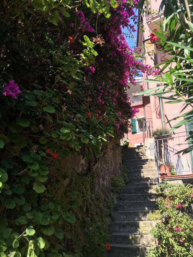 Apt. With An Exciting View Monterosso al Mare Exteriör bild